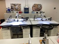 Zona T&eacute;cnica